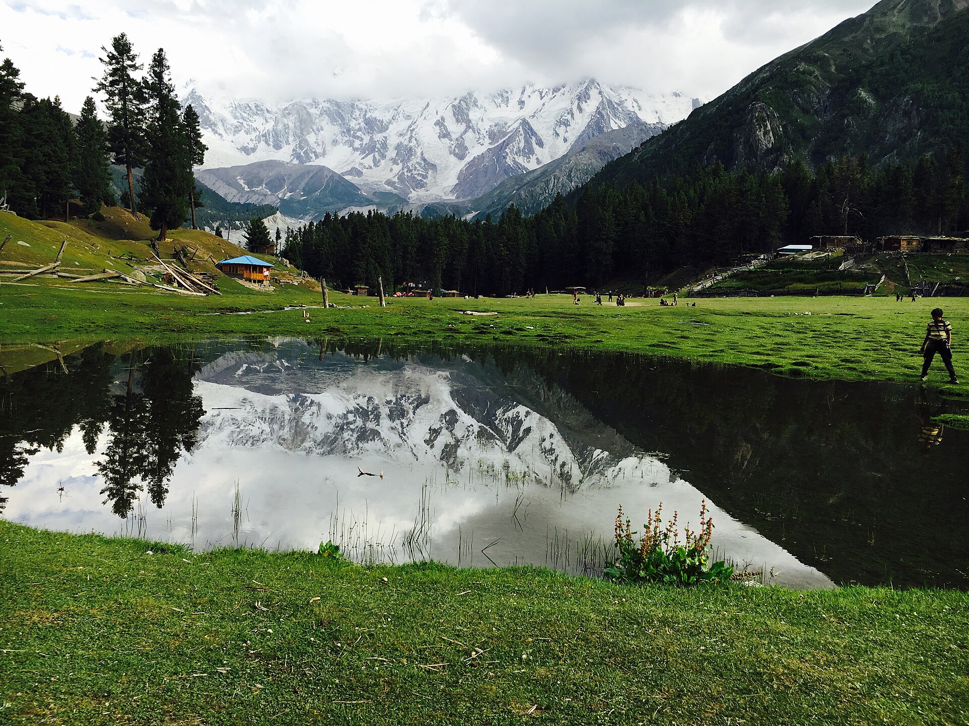 Fairy Meadows Camping — Nanga Parbat